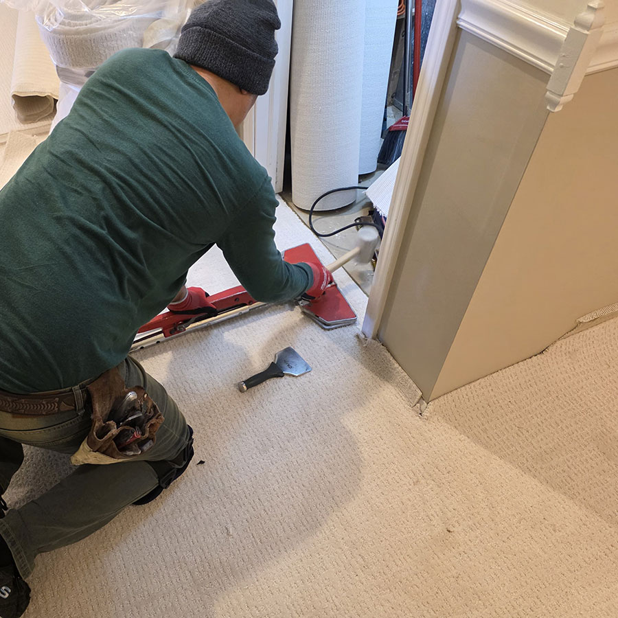 abcRemo-carpets202603_11